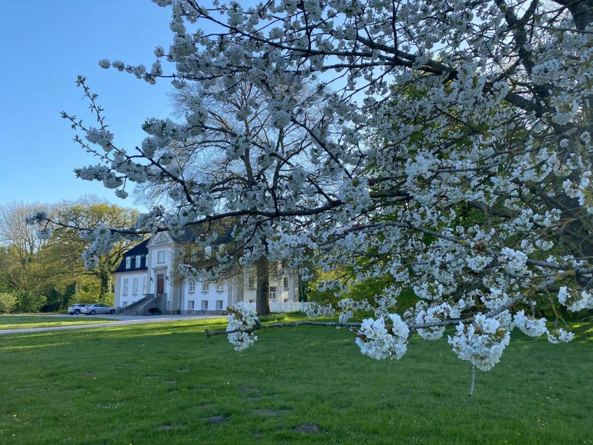 Rosenlund Gods - Kaelder B&B Sakskøbing Kültér fotó