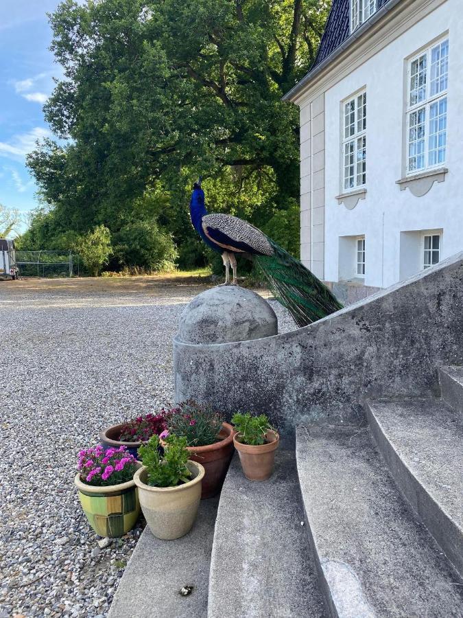 Rosenlund Gods - Kaelder B&B Sakskøbing Kültér fotó